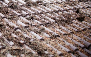 Kirkton Of Auchterhouse roof cleaning companies